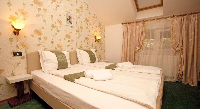 Pension Dinu Residence Timişoara Buitenkant foto